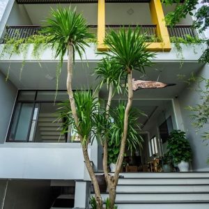 Nhà phố Thanh Nam